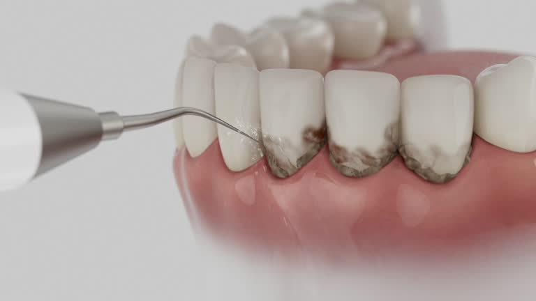 Reliable Dental contractor in Loveland Park, OH by Dentist Open Now